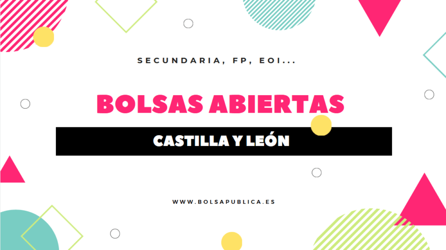 bolsas docentes en Castilla León para secundaria, fp, eoi, música y artes