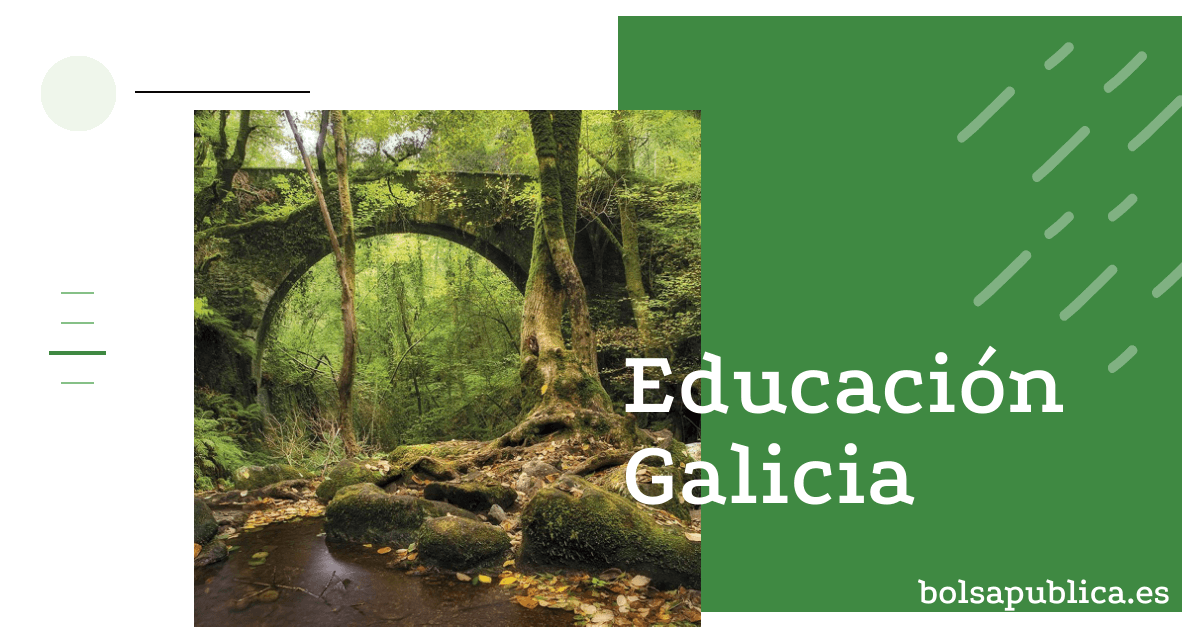 titulaciones entrar en bolsas docentes de Galicia